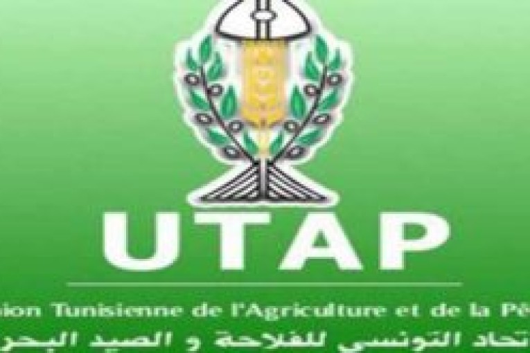 تونس تتلقى دعوة للمشاركة في قمة الأمن الغذائي العالمي بنيويورك