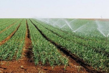 تقلّص المناطق السقوية العمومية بسوسة بنسبة 90 %.. الأسباب