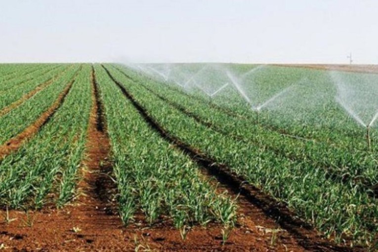 تقلّص المناطق السقوية العمومية بسوسة بنسبة 90 %.. الأسباب