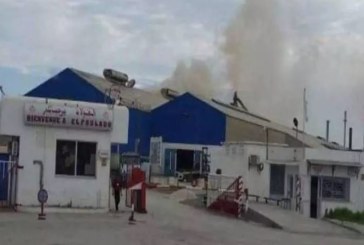 منزل بورقيبة: تأجيل اضراب أعوان مصنع الفولاذ الى يوم 8 نوفمبر القادم