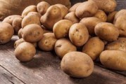 مرناق و بني خلاد: حجز كمية من البطاطا غير صالحة للاستهلاك بمخزني تبريد