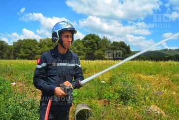 باجة: السيطرة على حريق بجبل العروسة‎‎ أتى على 10 هكتارات