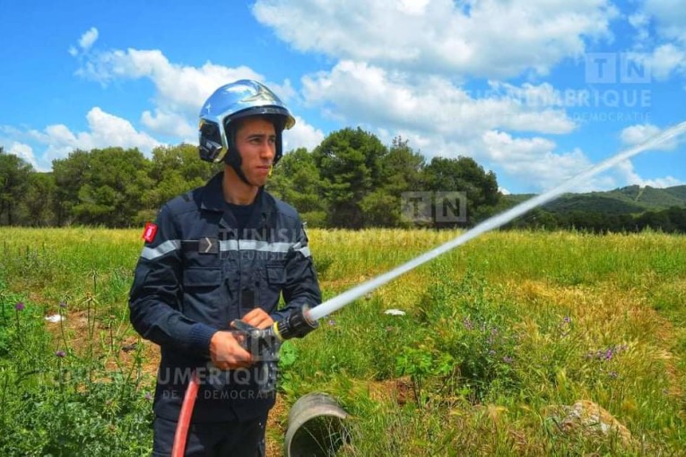 باجة: السيطرة على حريق بجبل العروسة‎‎ أتى على 10 هكتارات