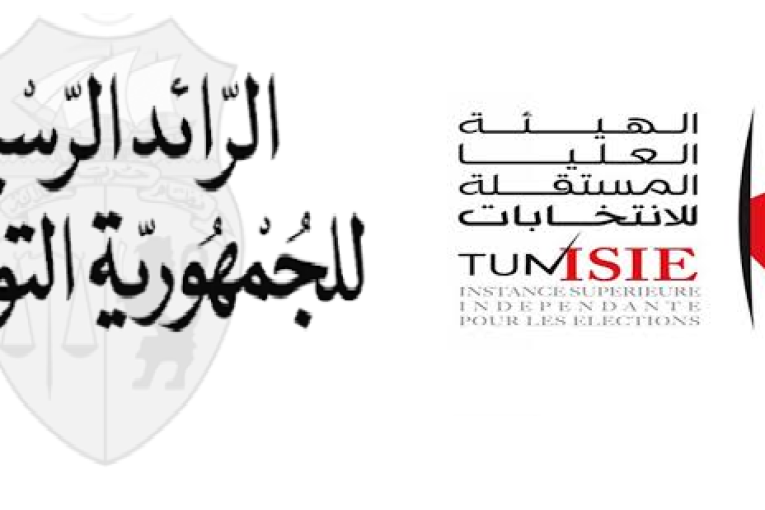 صدرت في الرائد الرسمي: شروط الترشح والمشاركة في الانتخابات والاستفتاء