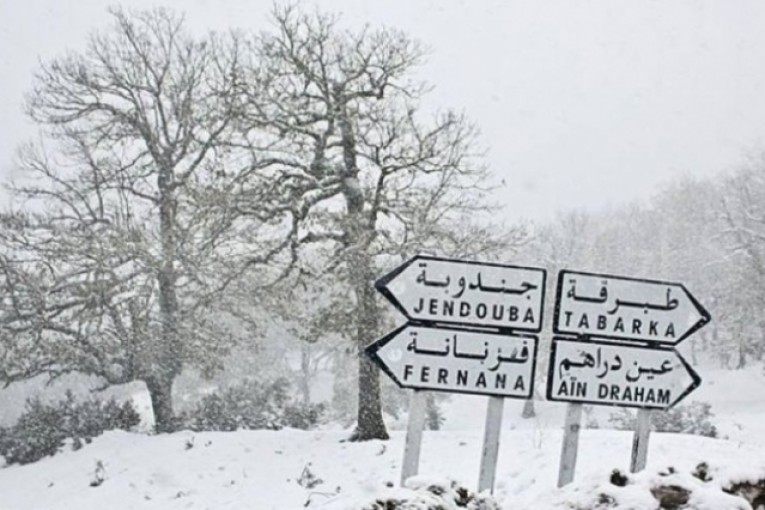 إتحاد التضامن الاجتماعي: وضعنا برنامجا خاصا لمساعدة 15 ألف عائلة على مجابهة موجة البرد