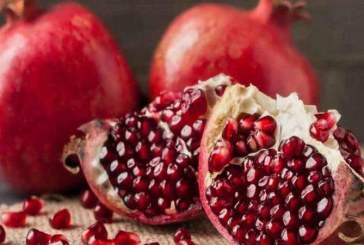 سيدي بوسعيد: أسبوع الرمان التونسي من 01 الى 04 نوفمبر 2022