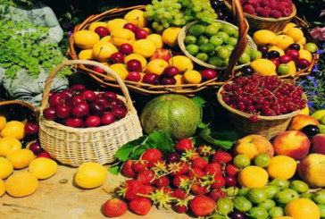 طبربة: حجز غلال بقيمة 721 ألف دينار في مخزن عشوائي