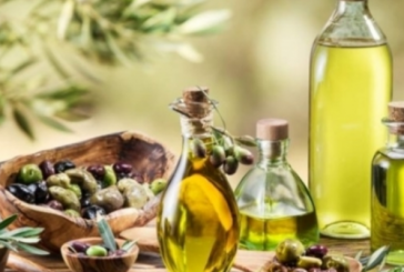 ديوان الزيت يدعو مزودي المعدات المكيانيكية لجني وتقليم ورش الزياتين لتقديم عروضهم قبل 24 أكتوبر