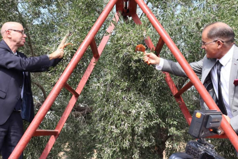 القيروان: وزير الفلاحة يُعاين المنطقة السقوية وموسم جني الزيتون