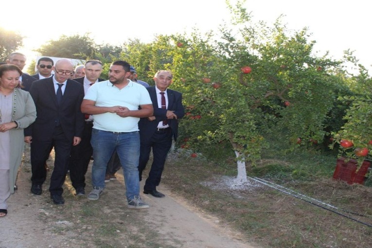 وزير الفلاحة يواكب فعاليات افتتاح الدورة االسادسة لمهرجان الرمان بتستور