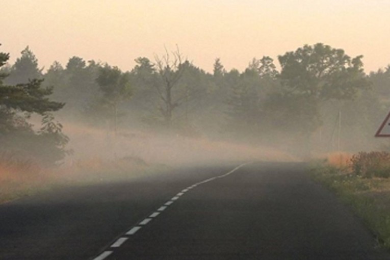 طقس اليوم: ضباب محلي خلال الساعات الأولى من النهار والحرارة في استقرار