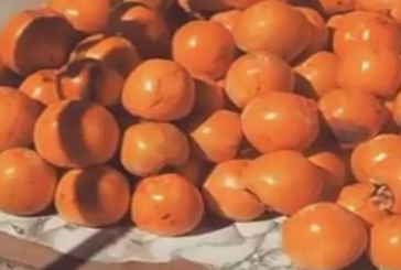 مدير مهرجان الكريمة بنفزة: المهرجان ساهم في التعريف بالثمرة على نطاق واسع وتحويلها إلى استثمار