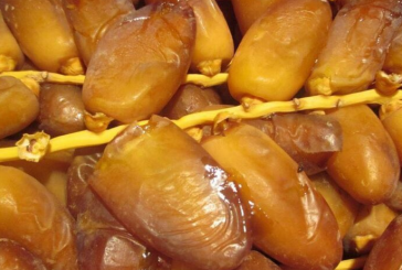 احتجاجا على عدم تسعير دقلة النور: فلاحون يغلقون الطريق بين قبلي وقابس