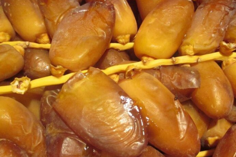 احتجاجا على عدم تسعير دقلة النور: فلاحون يغلقون الطريق بين قبلي وقابس