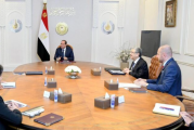 الرئيس المصري يبحث التعاون مع شركة سيمنز في مشروعات الطاقة الخضراء