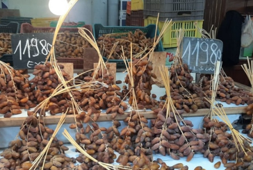 لليوم الثاني على التوالي: فلاّحون في قبلي يحتجون للمطالبة باحترام تسعيرة شراء التمور من قبل المجمّعين