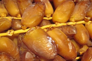 قبلي: تحركات متتالية للفلاحين للمطالبة بشراء التمور بأسعار تراعي تكلفة الإنتاج.