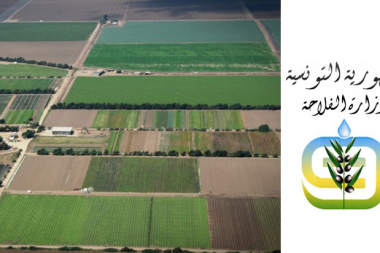 نحو عرض عقارات فلاحية للكراء للعموم بالمزاد العلني بعد استرجاعها