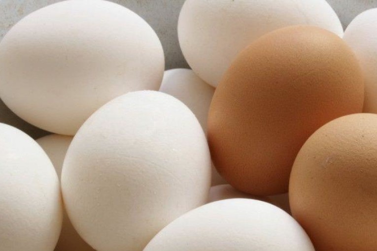 سيدي بوزيد: حجز 30000 بيضة على متن شاحنة خفيفة تعمّد صاحبها مسكها دون أن تتوفر فيه صفة التاجر