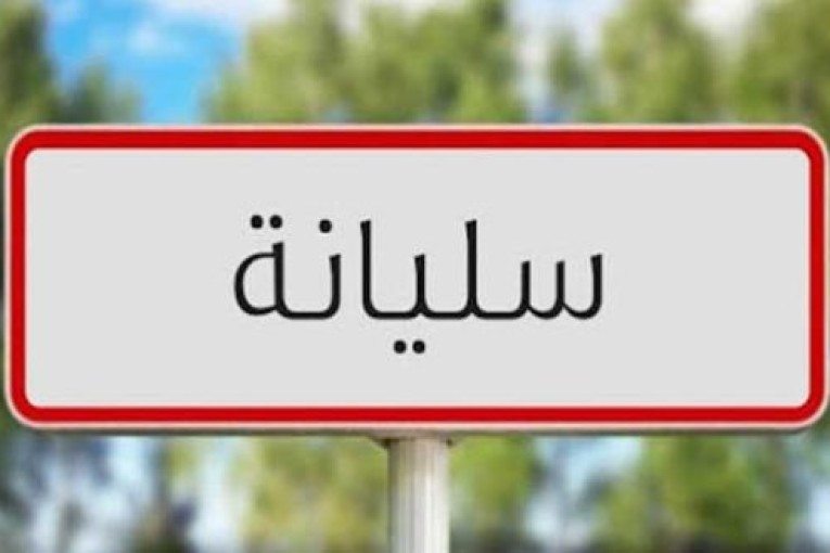 سليانة: انطلاق موسم الزراعات الكبرى.. وتخوّفات من تواصل فقدان الأسمدة