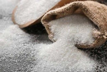 بداية من الغد: إنتاج 650 طنا من السكر يوميا