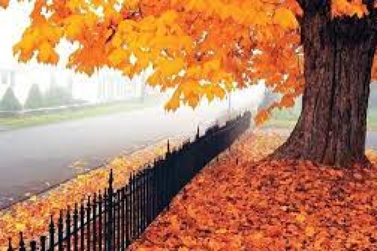 طقس اليوم: ضباب يميز الساعات الأولى للنهار والحرارة بين 25 و31 درجة