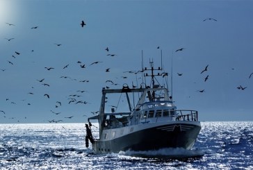 جرجيس: البحّارة يستأنفون عمليات البحث عن ضحايا المركب المنكوب