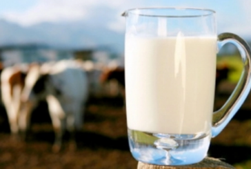 اتحاد الفلاحة يتمسّك بالترفيع في سعر الحليب بـ600 مليم للتر الواحد