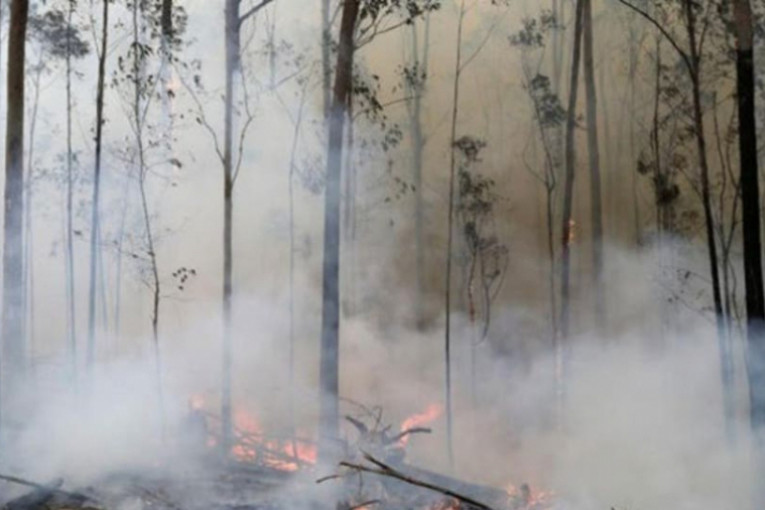 طبرقة: السيطرة على حريق الوراهنية بنسبة 90 %