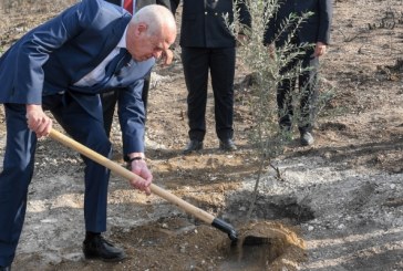 سعيّد اثر تحوّله لجبل بوقرنين بمناسبة عيد الشجرة: تونس ستزداد اخضرارا مهما فعل من أشعل الحرائق قصدا