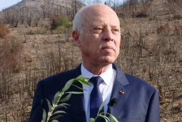 سعيّد: ‘يلتقون بالعواصم الغربية للتآمر على الوطن… ويجب إصدار الأحكام ضد العُملاء’