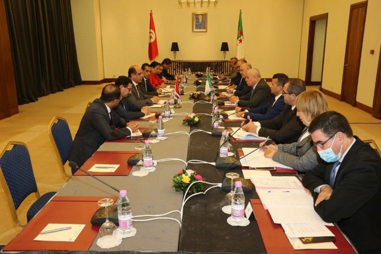 الزاهي يطّلع على التجربة الجزائرية في الضمان الاجتماعي وآليات منحة البطالة