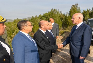 سعيّد للقضاء: ‘العبوا دوركم التاريخي لتطهير البلاد من المجرمين الذين عبثوا بالشعب’