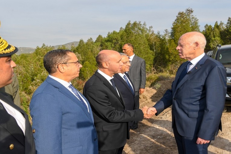 سعيّد للقضاء: ‘العبوا دوركم التاريخي لتطهير البلاد من المجرمين الذين عبثوا بالشعب’