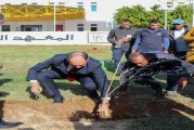 توزيع ألف شجرة زيتون على المؤسسات التربويّة والجامعية