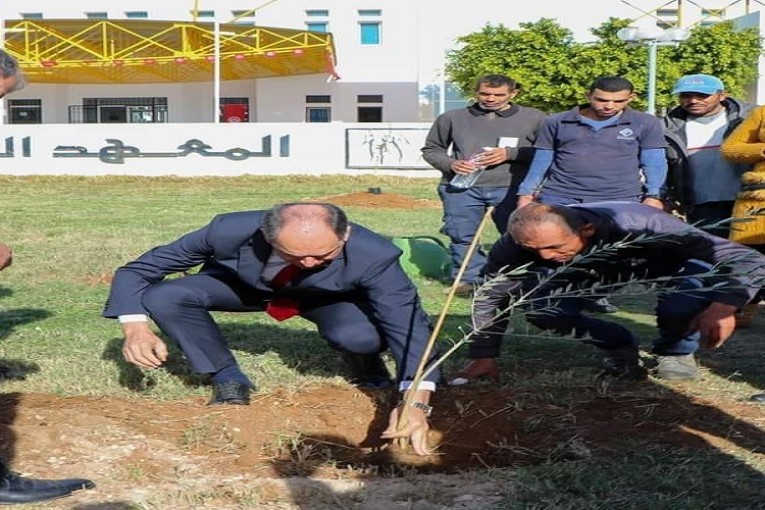 توزيع ألف شجرة زيتون على المؤسسات التربويّة والجامعية