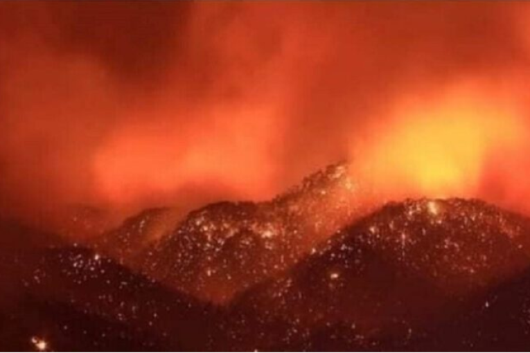 الجزائر تحكم على 48 بالإعدام بعد إدانتهم بقتل فنان اتهموه بإشعال حرائق غابات