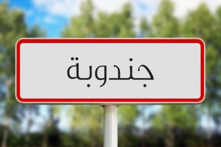 جندوبة: أعضاء النيابة الخصوصية بالمجلس الجهوي يصادقون على جملة من المشاريع