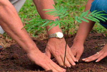 المنستير: برمجة تشجير 30 هكتارا وتوزيع قرابة 75 ألف شتلة مجانا