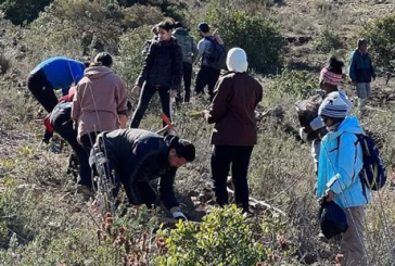 تحت شعار ‘بغراسة الأشجار نستعيد غاباتنا ونحسّن حياتنا': بنزرت تحتفي بعيد الشجرة
