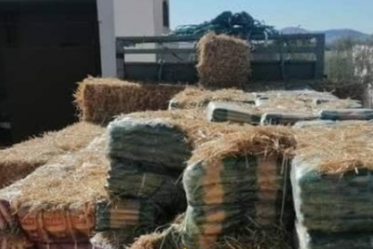 سيدي بوزيد: حجز 5 أطنان من العجين الغذائي مخبأة تحت التّبن بصندوق شاحنة