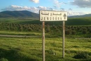 جندوبة:  260 مخالفة اقتصادية خلال شهر أكتوبر المنقضي