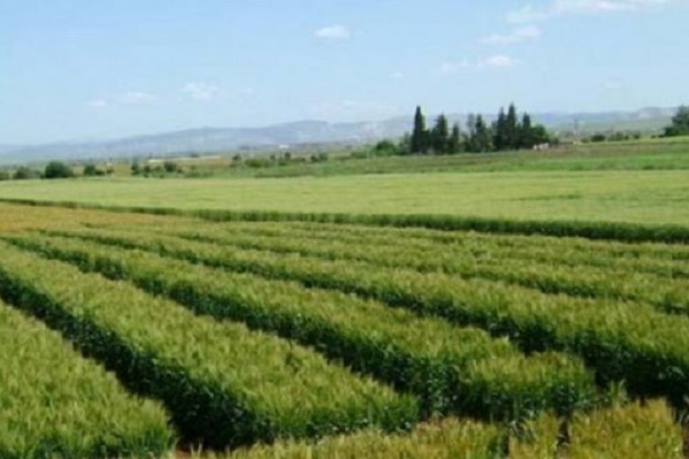 برج العامري: استرجاع عقار فلاحي مساحته 113 هك