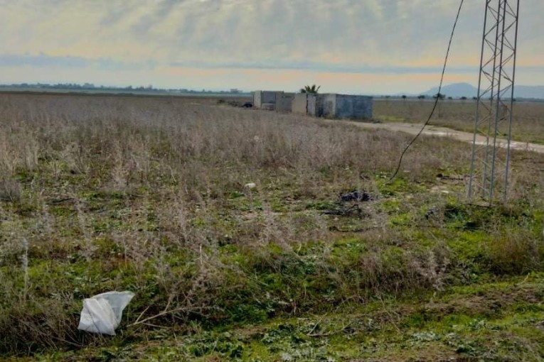 منوبة ..وزارة أملاك الدولة تسترجع ضيعة فلاحية تمسح 140هك