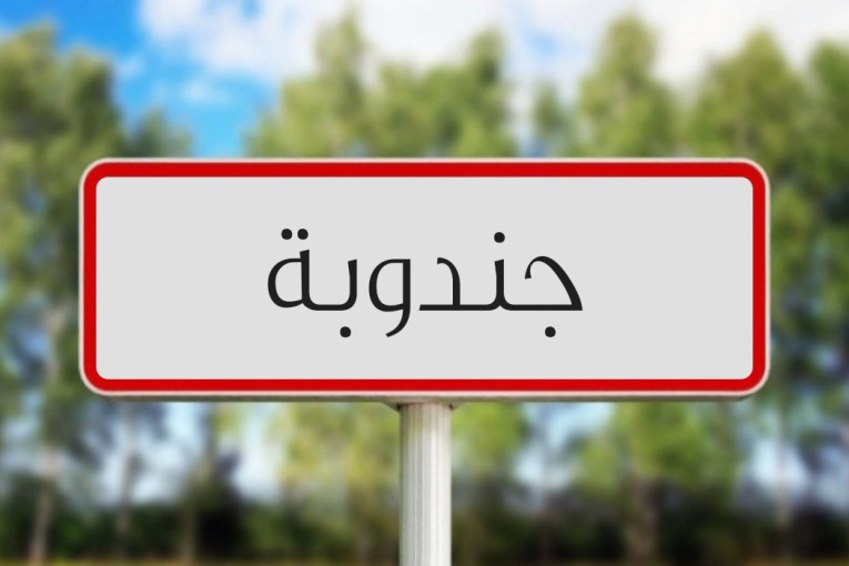 جندوبة: تسجيل أكثر من 2800 مخالفة اقتصادية