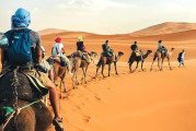 مندوب السياحة بتوزر:السياحة الصحراوية ستشهد تزايدا في الإقبال