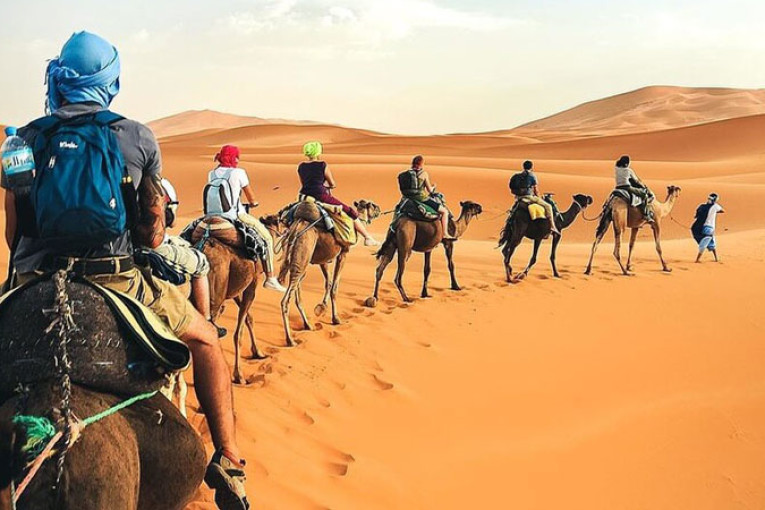 مندوب السياحة بتوزر:السياحة الصحراوية ستشهد تزايدا في الإقبال