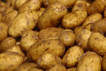 طبلبة: حجز 5 أطنان من البطاطا المعدة للاستهلاك
