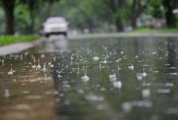 طقس اليوم: ضباب خلال الساعات الأولى تليه أمطار متفرقة