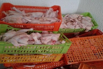 منوبة: حجز 2011 كلغ من الدجاج المذبوح في مخزنين عشوائيين